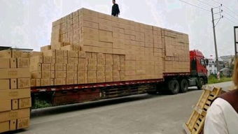 上海搬運服務全指南 專業裝卸工人與臨時零活解決方案